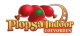 Plopsa Indoor Coevorden kortingsbonnen- en promotiecodes Plopsa Indoor Coevorden kortingsbonnen- en promotiecodes